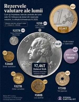 The US dollar continues to dominate central bank foreign exchange reserves